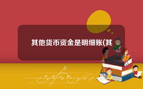 其他货币资金是明细账(其他货币资金明细账采用什么账簿)