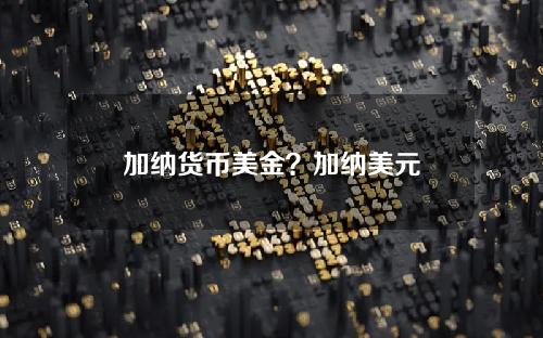 加纳货币美金？加纳美元