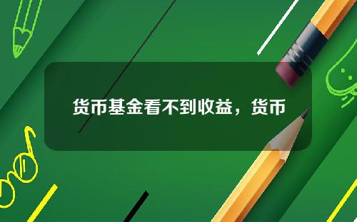 货币基金看不到收益，货币基金亏损案例