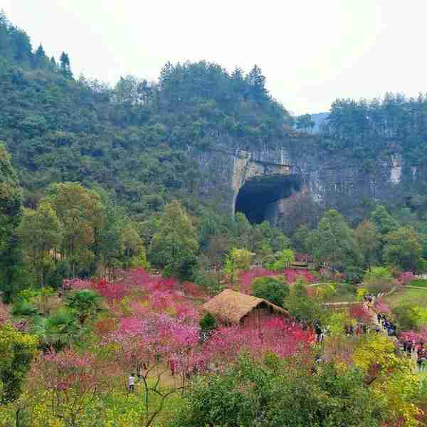 重庆面积最大的区县，人口86万，陶渊明的桃花源位于此地