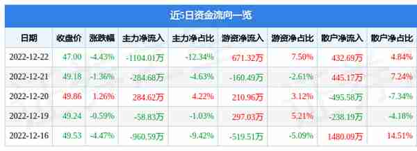 帝科股份（300842）12月22日主力资金净卖出1104.01万元