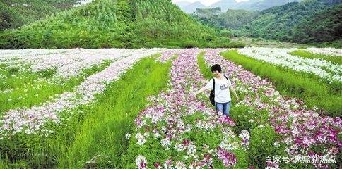 广西上林县独特的景色，带你看遍广西的风景