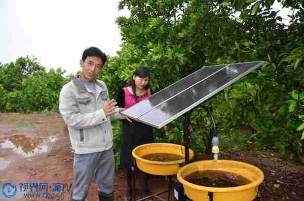 荣昌远觉：600余盏太阳能灯照亮幸福路