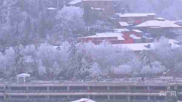 冬日美景｜庐山雪景旖旎迎客来