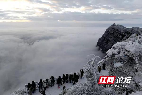 峨眉山的早晨白雪飘飘，仿若人间仙境