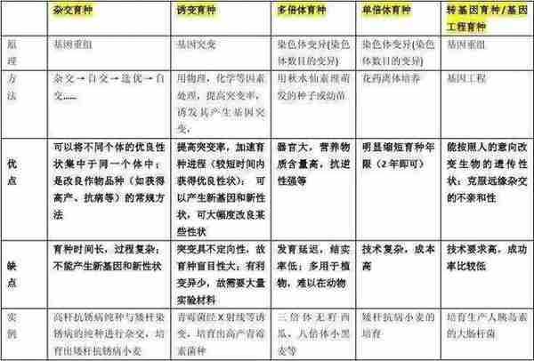 揭秘航天育种：当一粒种子被宇宙粒子幸运击中……