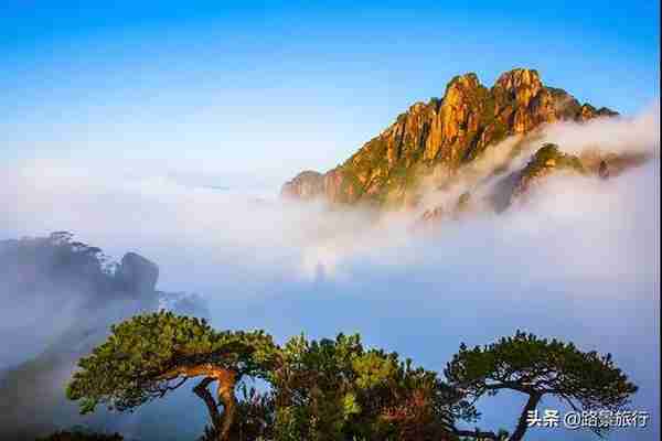 江浙沪周边 l 江西上饶·三清山旅行攻略