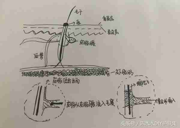 呵，姨妈痘！