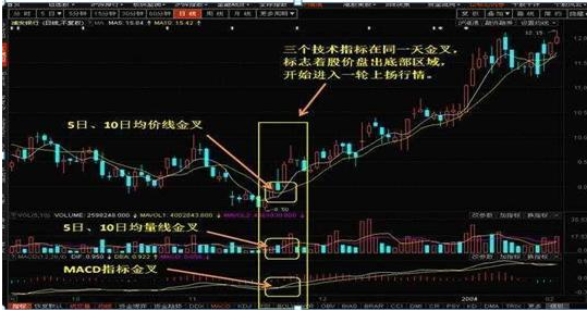 A股“最强牛散”的“三金叉见底，三死叉见顶”笔记曝光，一旦符合便是“大级别”行情，仅分享一次