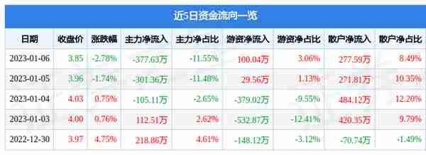 新华传媒（600825）1月6日主力资金净卖出377.63万元