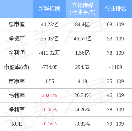 新华传媒股票600825(新华传媒股票股吧)