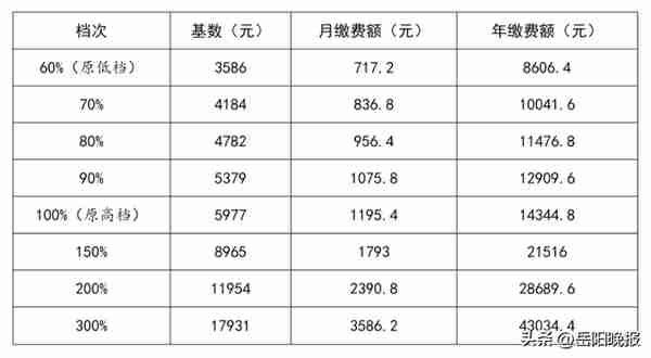 岳阳居民社保(岳阳 社保)