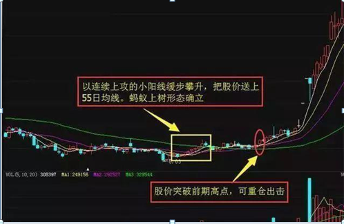 但凡K线出现“蚂蚁上树”形态，证明主力已吸筹完毕，果断重仓出击，绝对是翻倍好时机