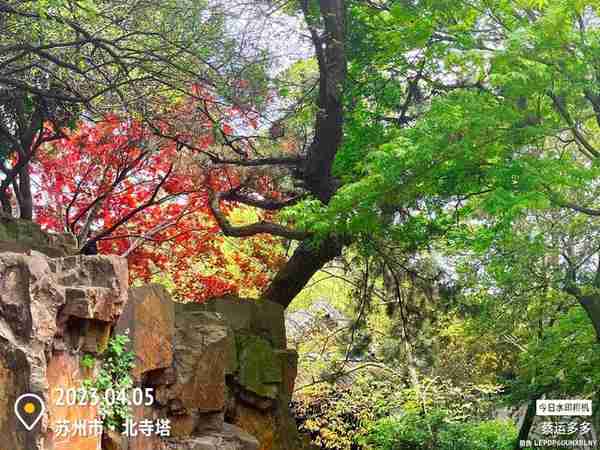 北寺塔，古刹报恩寺乃苏州璀璨之明珠。