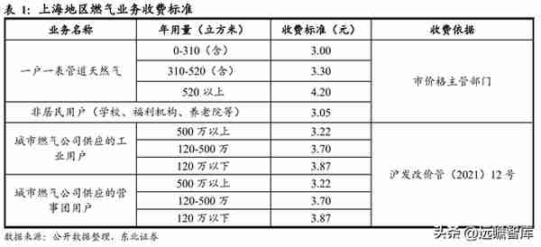 行业政策赋能，大众公用：四大板块多元发展，城燃事业乘势增长