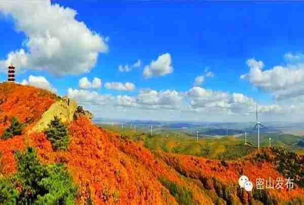 中俄边境线上的小城密山，不仅仅有大海一样的兴凯湖