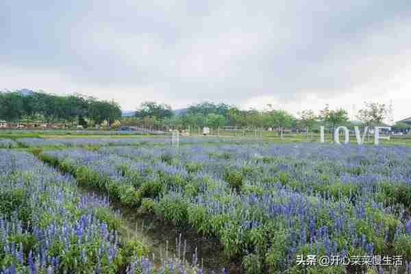 广东佛山最值得打卡的13个景点，每个点都足以爱上佛山，一生必去