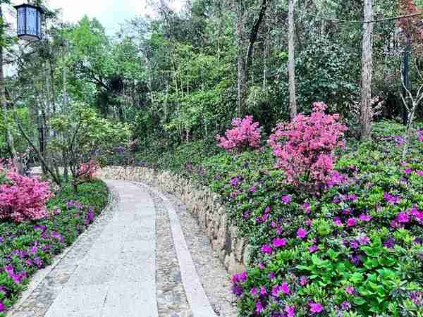 在余杭的“花花世界”里挖呀挖呀挖