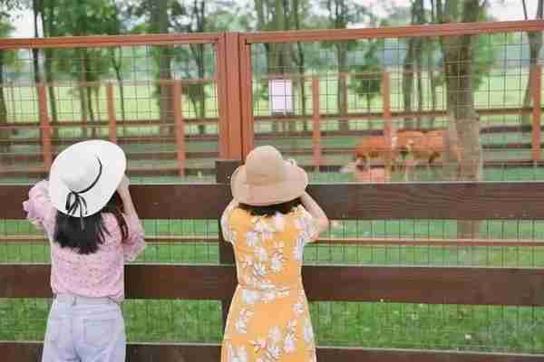 在余杭的“花花世界”里挖呀挖呀挖