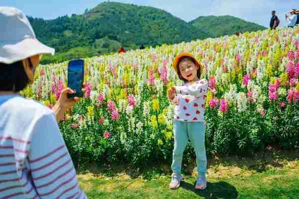 在余杭的“花花世界”里挖呀挖呀挖