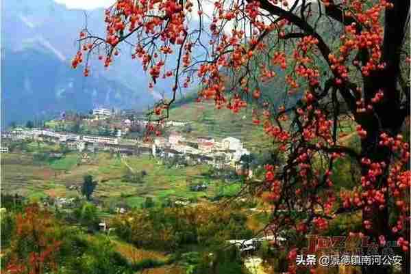 景德镇鹅湖镇曹村:昔日山巅古村 今朝生态家园