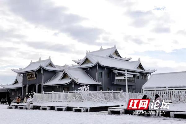 峨眉山的早晨白雪飘飘，仿若人间仙境