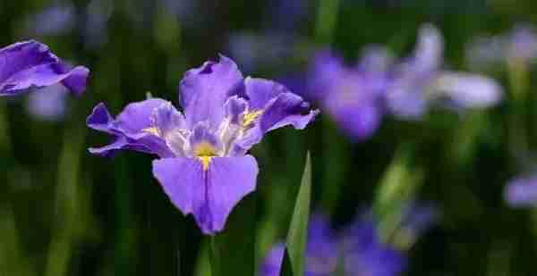 在余杭的“花花世界”里挖呀挖呀挖