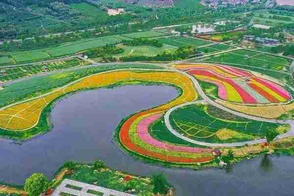 在余杭的“花花世界”里挖呀挖呀挖