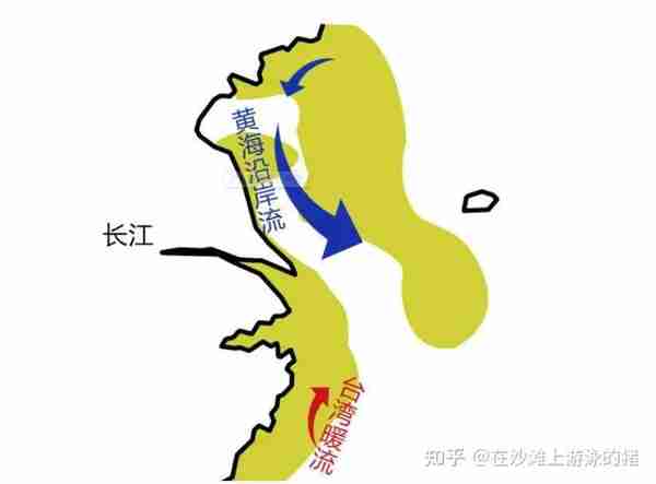 大话舟山海鲜系列（四）—大话梭子蟹