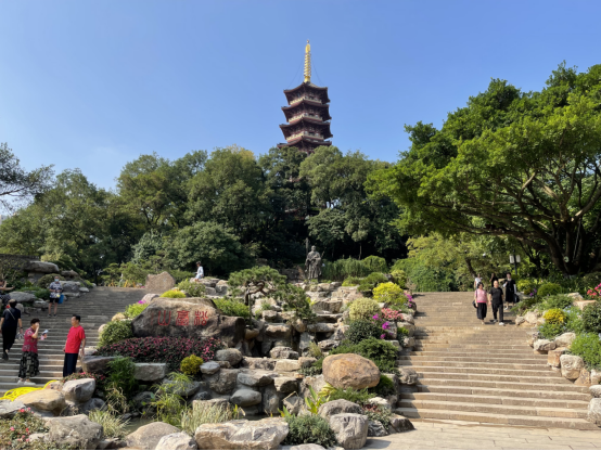 留住古城记忆！来温州这一历史文化美景地，赏茶花、看古山古坊古井