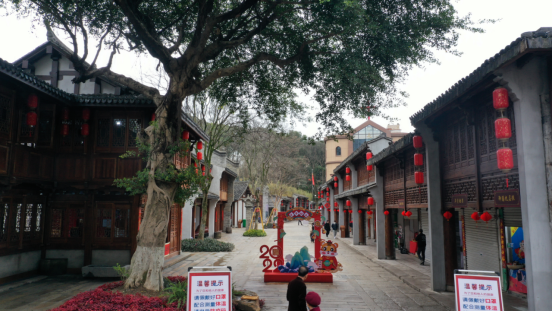 留住古城记忆！来温州这一历史文化美景地，赏茶花、看古山古坊古井