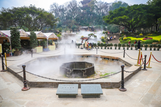 留住古城记忆！来温州这一历史文化美景地，赏茶花、看古山古坊古井