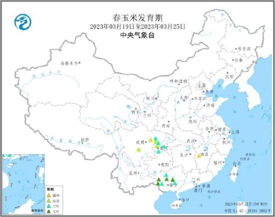 华安期货：玉米供压减弱 节日效应提振消费信心