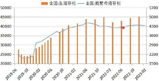 华安期货：玉米供压减弱 节日效应提振消费信心