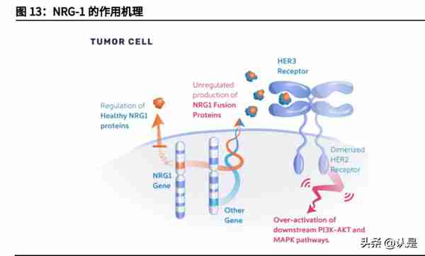 信立泰研究报告：华丽转身，用创新构筑第二增长曲线的慢病龙头