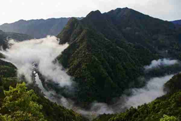 随着移民而来，地跨浙闽连接山海，泰顺因此而文化多元