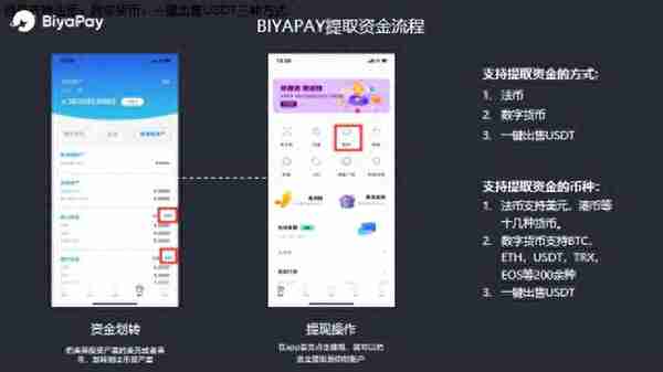 BIYAPAY--全新港美股平台来袭