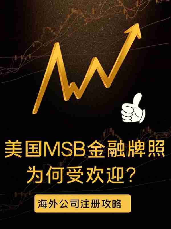 美国msb 金融牌照离岸海外国际公司注册美国公司注册流程步骤